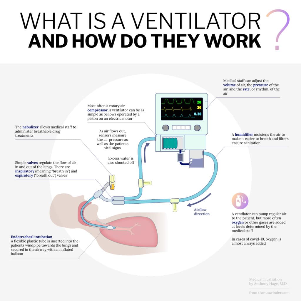 Medical ventilator diagram / medical illustration by Dr. Anthony Hage