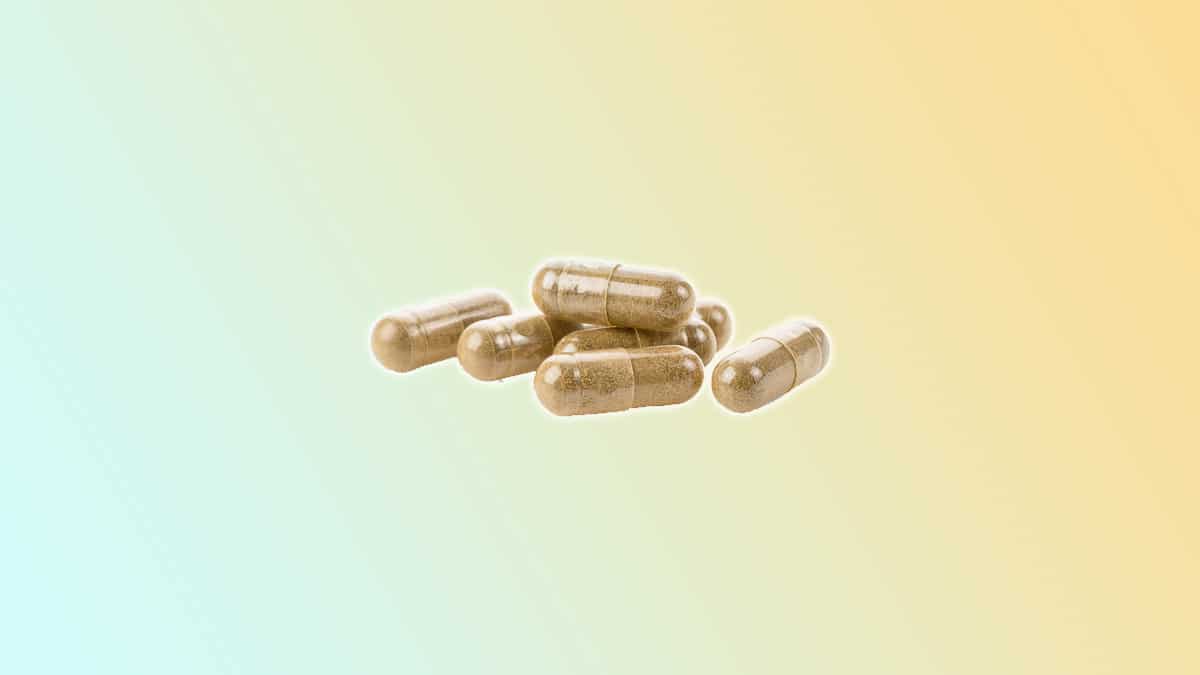 best maca root supplements best maca root supplements