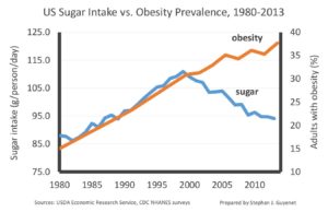 Obesity rising while sugar intake calls