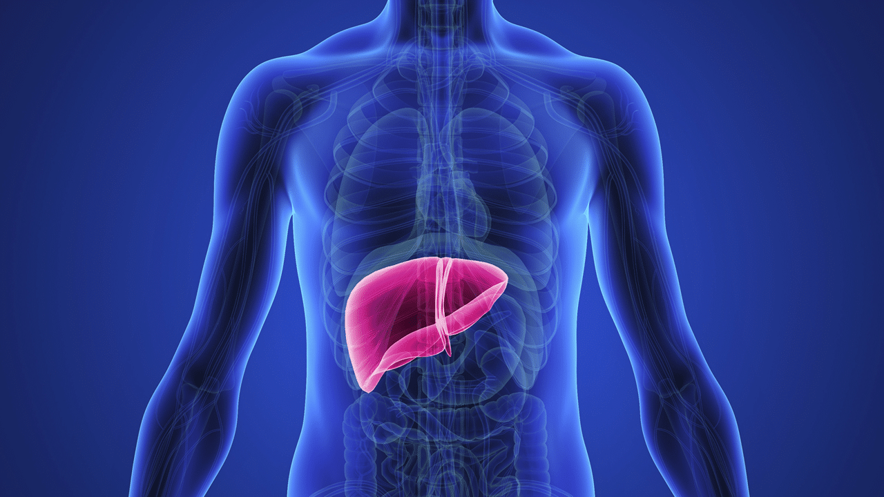 The Potential Effects of Tongkat Ali on Liver Health: What You Need to Know